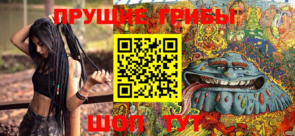 Красногорск  Галлюциногенные грибы мицелий  Вход с VPN 